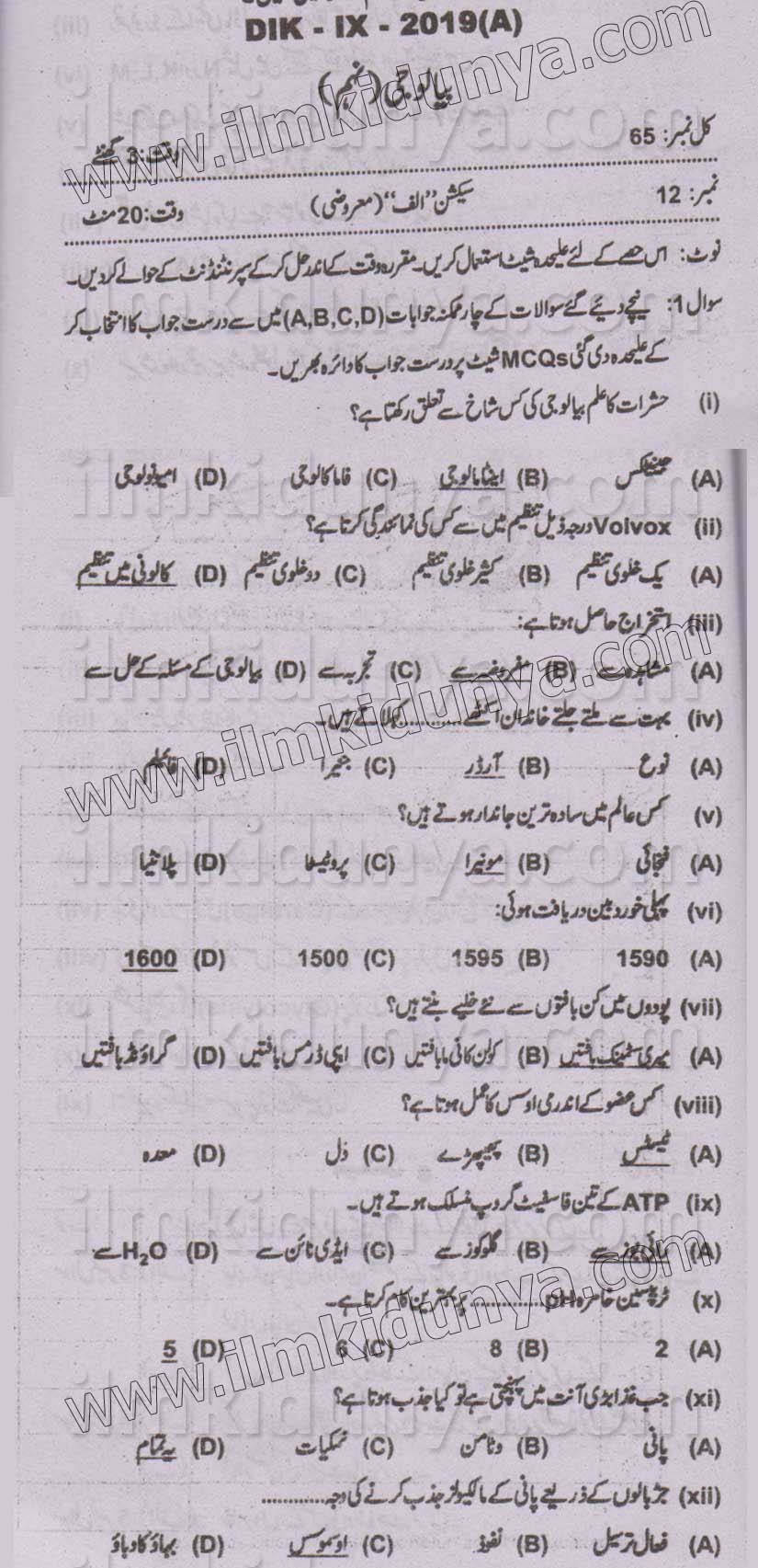 Paper Image